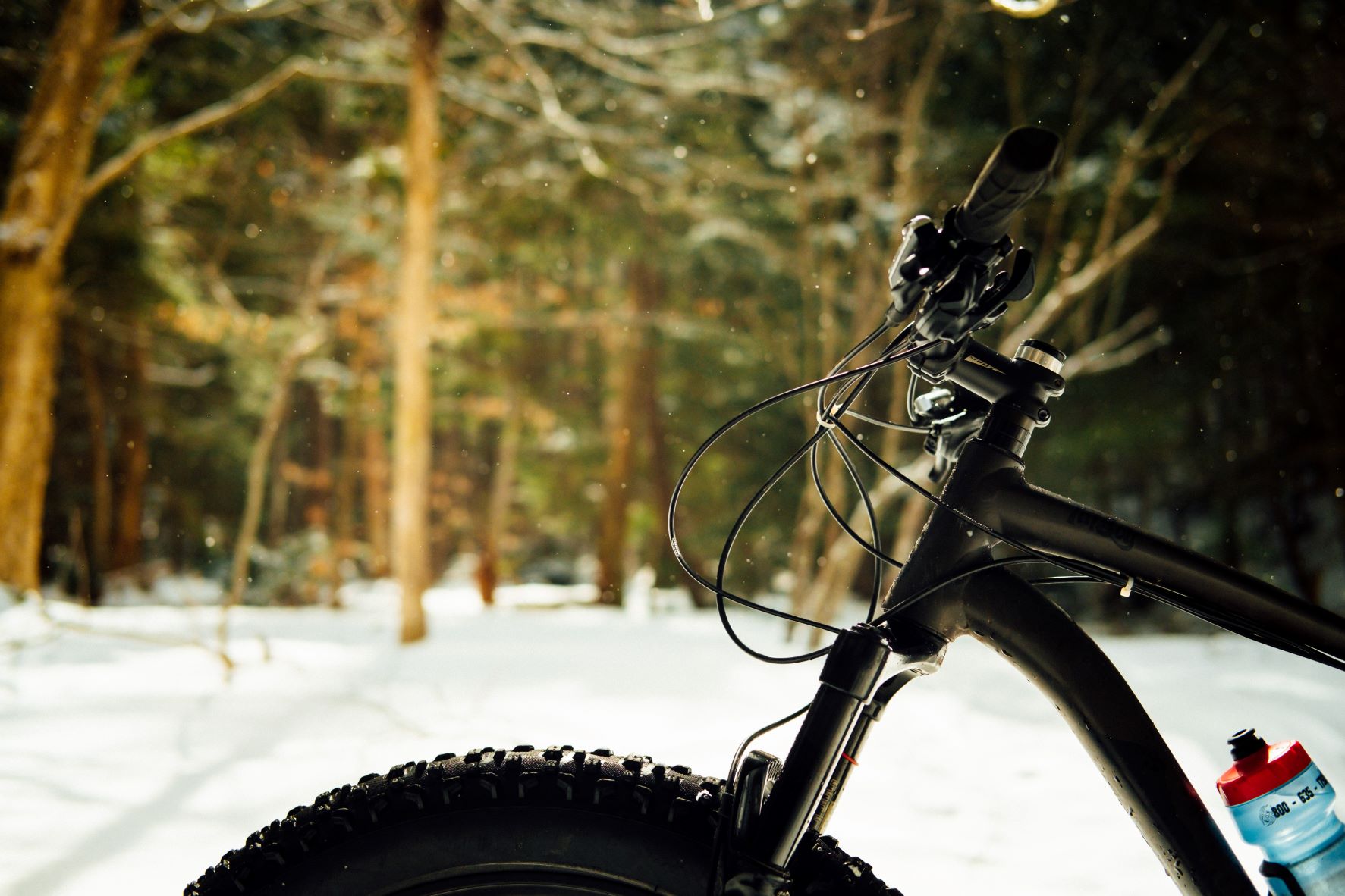 Fat store bike storage